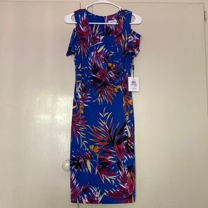 Calvin Klein Size 2 Dress